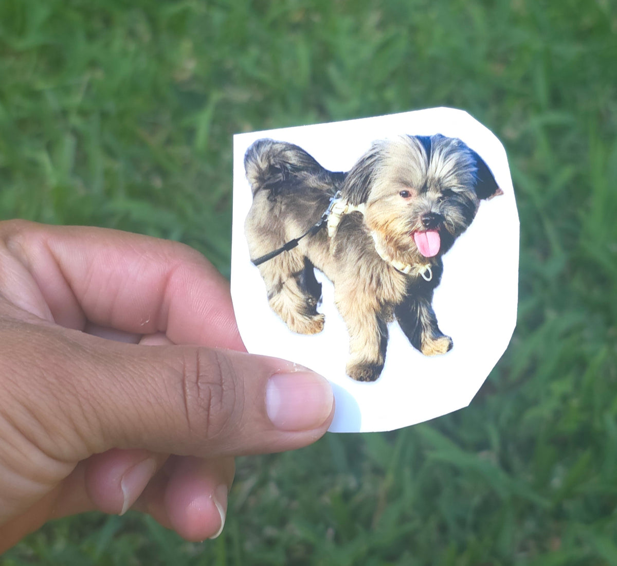 Custom UV DTF Stickers | Personalized Logo & Design Stickers